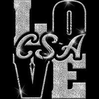 GLT74 SILVER GLITTER Thumbnail